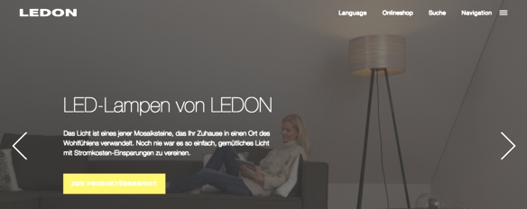 LEDON-Website neu